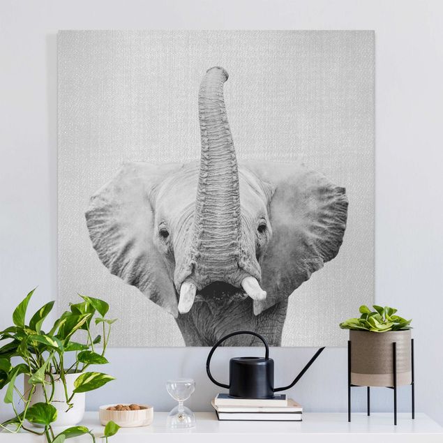 Quadri su tela con elefanti Elefante Ewald Bianco e Nero