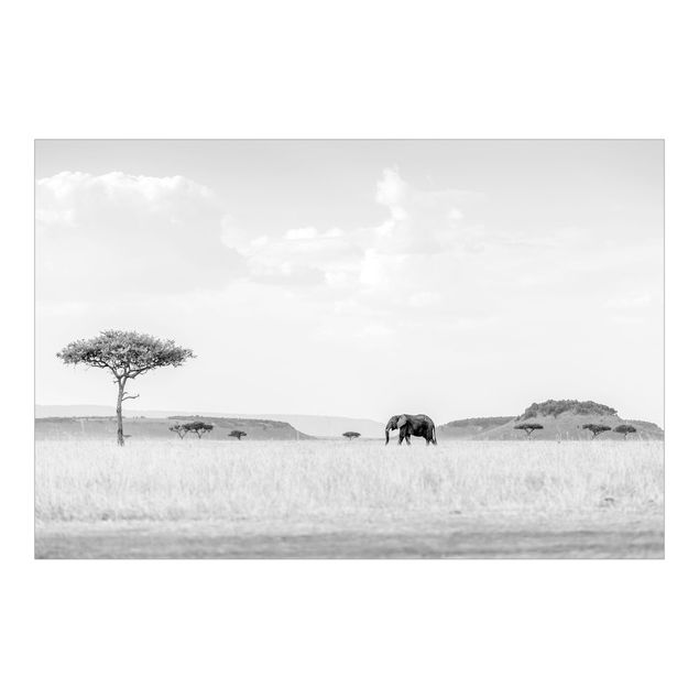 Carta da parati con paesaggi Elefante nella vasta savana in bianco e nero