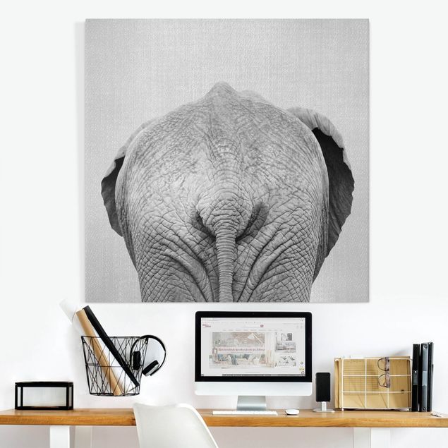 Quadri su tela con elefanti Elefante da dietro bianco e nero