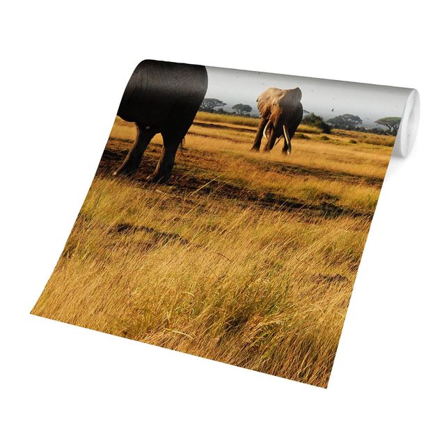 Carta da parati Africa Elefanti di fronte al Kilimangiaro in Kenya