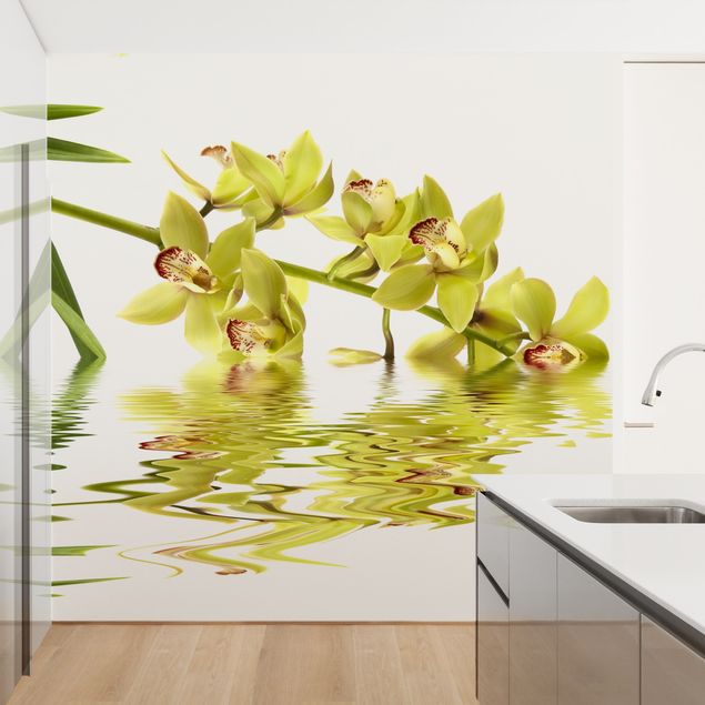 Carta da parati orchidea Eleganti acque di orchidea
