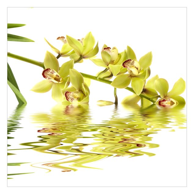 Carta da parati floreale Eleganti acque di orchidea