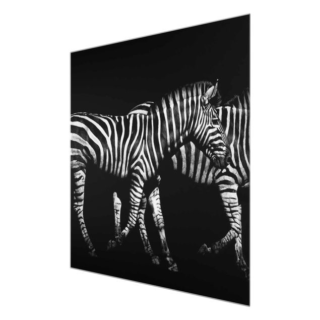 Glas Magnettafel Zebra nel buio