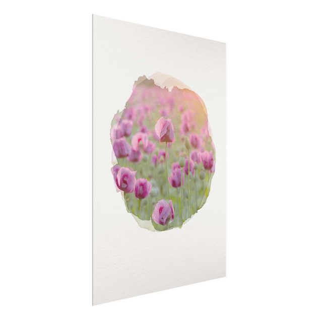 Quadri in vetro con fiori Acquerelli - Prato di fiori di papavero viola in primavera