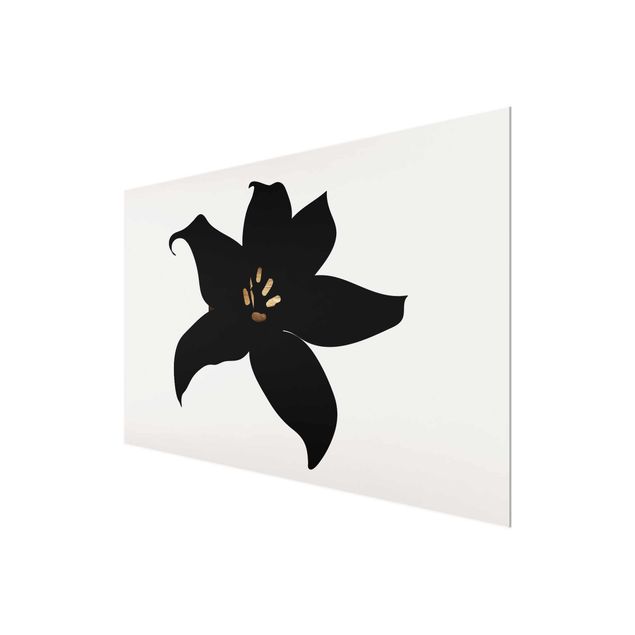 Quadri moderni   Mondo vegetale grafico - Orchidea nera e oro