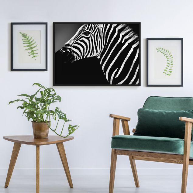 Quadri zebra Zebra Safari Art