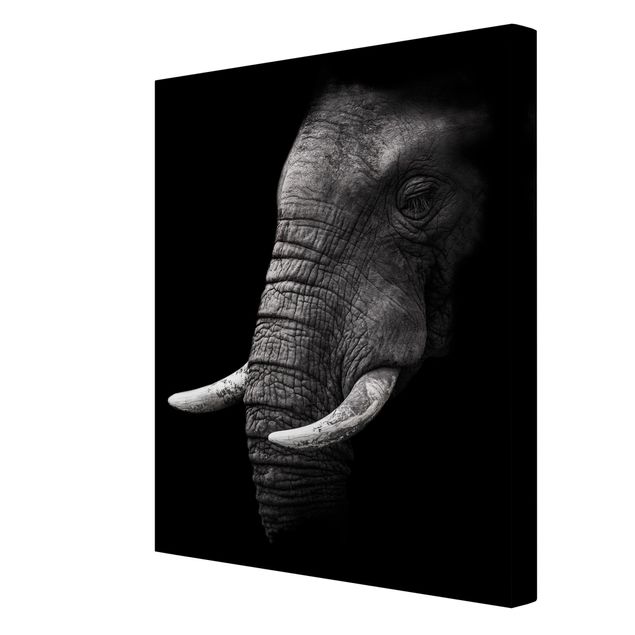 Quadri bianco e nero Ritratto di elefante scuro