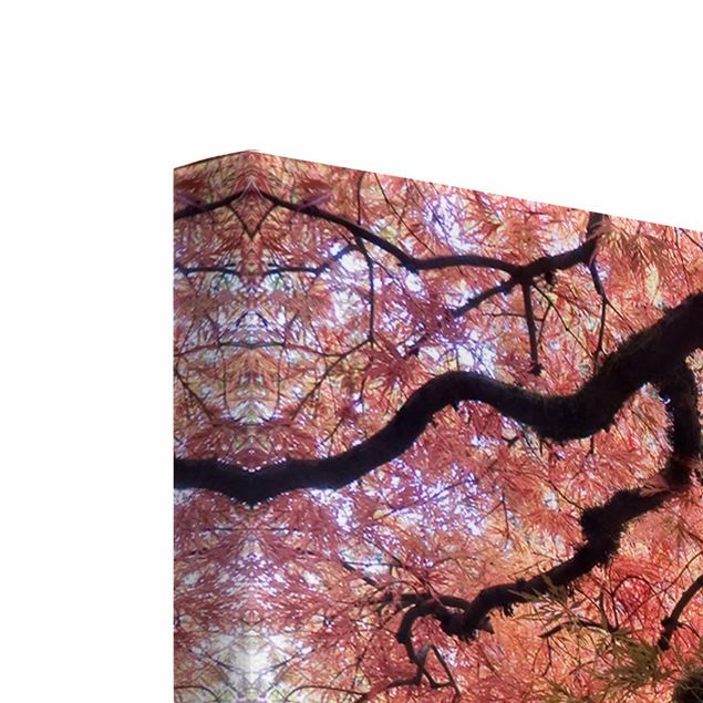 Stampe su tela paesaggio Giardino giapponese