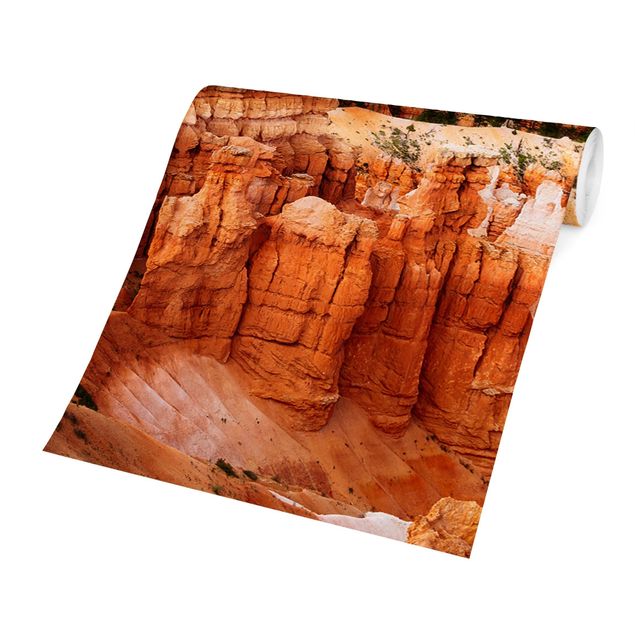 Carta da parati arancione Sfavillio di colori del Grand Canyon