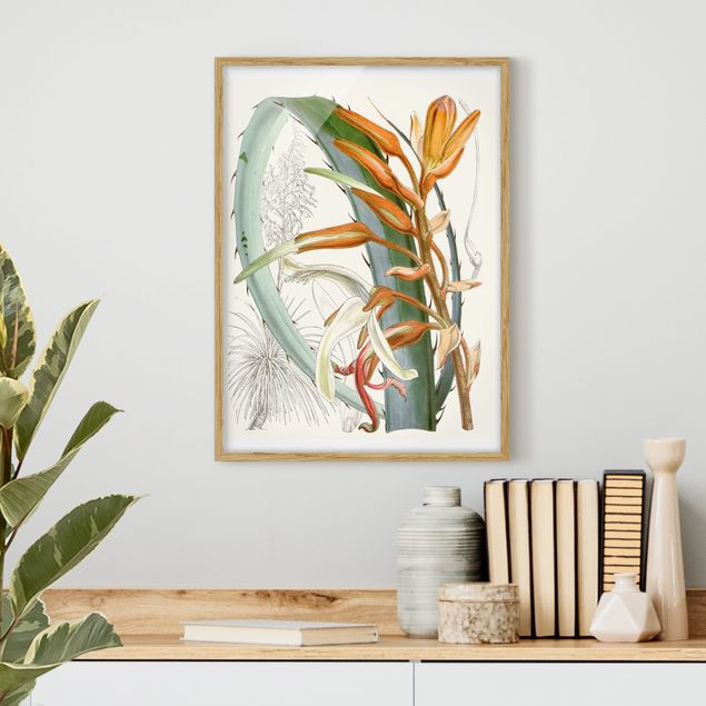 Quadri con cornice con fiori Illustrazione vintage Fiori tropicali I
