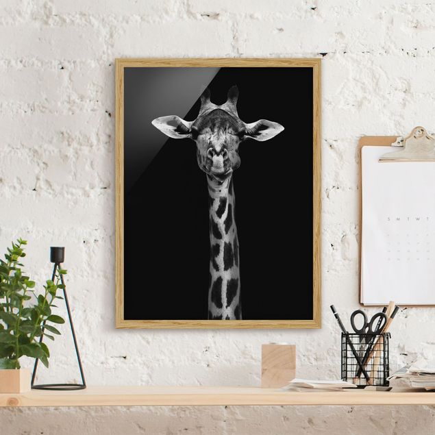 Quadro giraffa Ritratto di giraffa scura