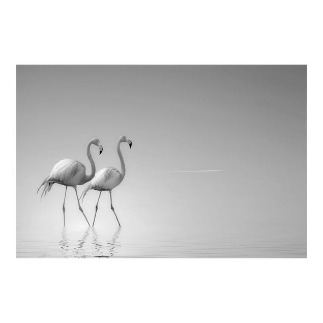 Carta da parati bianca e nera  Flamingo Love in bianco e nero