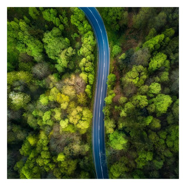 Carte da parati verde Vista aerea - Strada asfaltata nella foresta