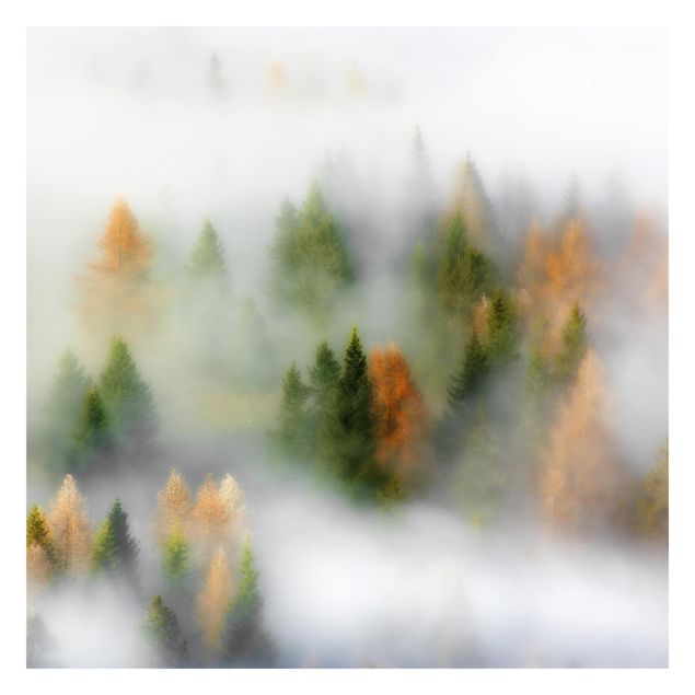 Carta parati grigia Foresta di nuvole in autunno