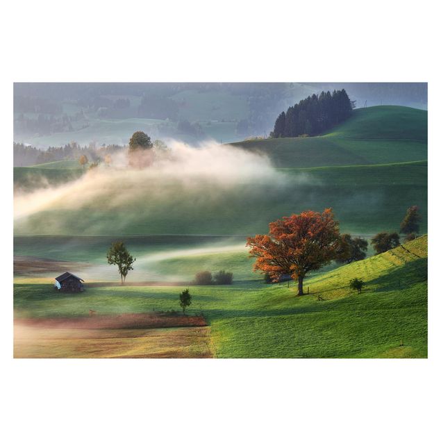 Carte da parati paesaggio Giornata autunnale nebbiosa in Svizzera
