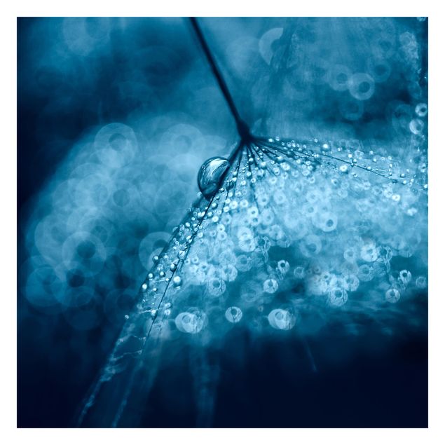 Carta da parati blu Soffione blu sotto la pioggia