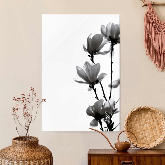 Quadri in vetro con fiori Magnolia araldo di primavera in bianco e nero