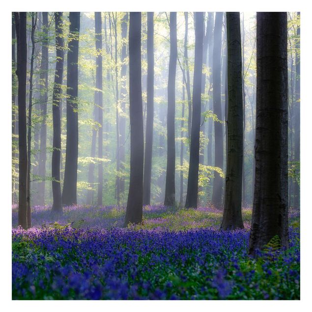Carte da parati paesaggio Giornata di primavera nella foresta