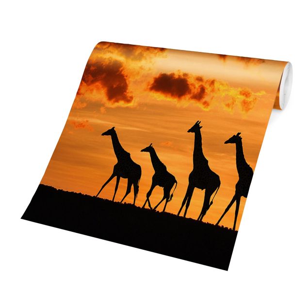 Carte da parati Africa Cinque giraffe