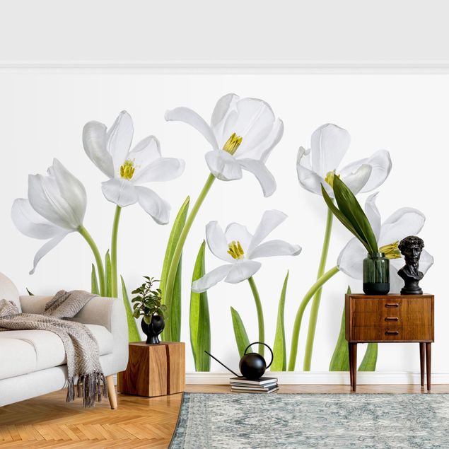 Carta da parati moderna Cinque tulipani bianchi