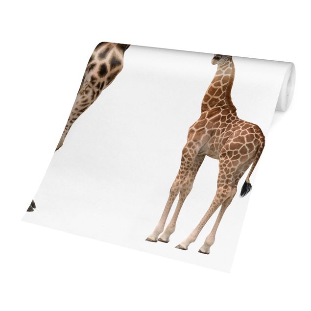 Carte da parati moderne Giraffa madre e figlio