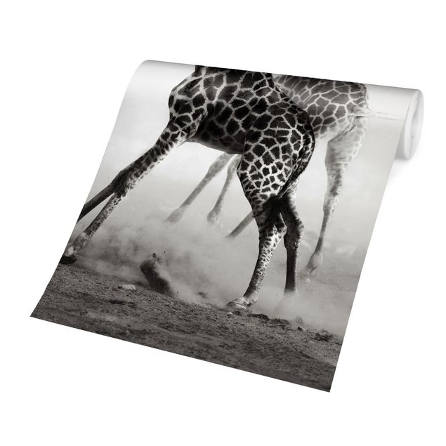 Carte da parati moderne Giraffe a caccia