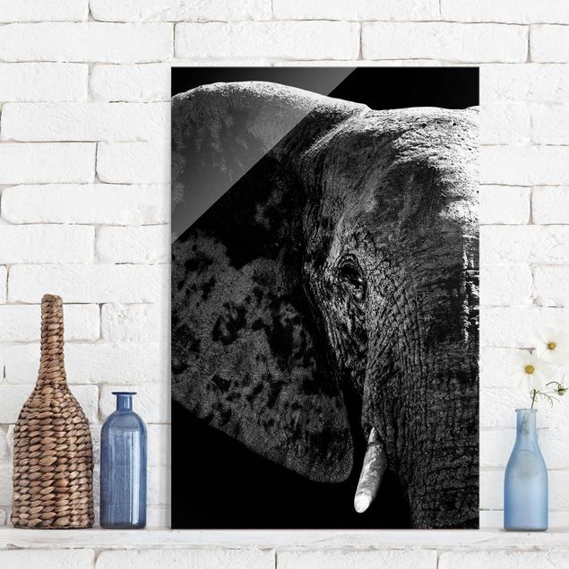 Quadro Africa Elefante africano in bianco e nero