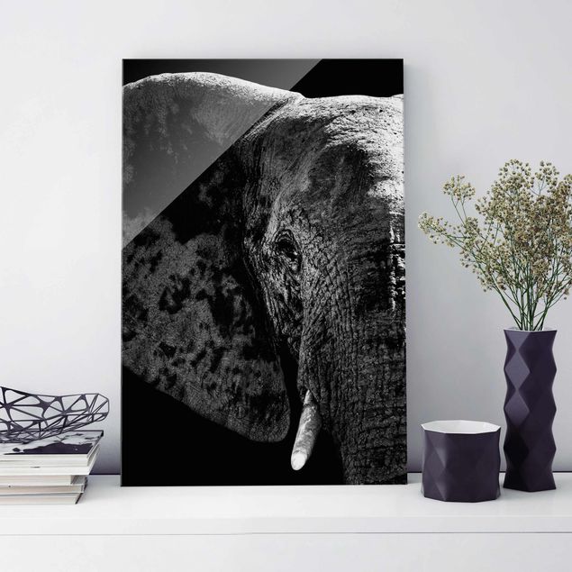 Elefante quadro Elefante africano in bianco e nero