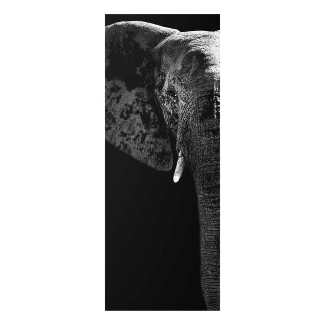 Quadri moderni per arredamento Elefante africano in bianco e nero