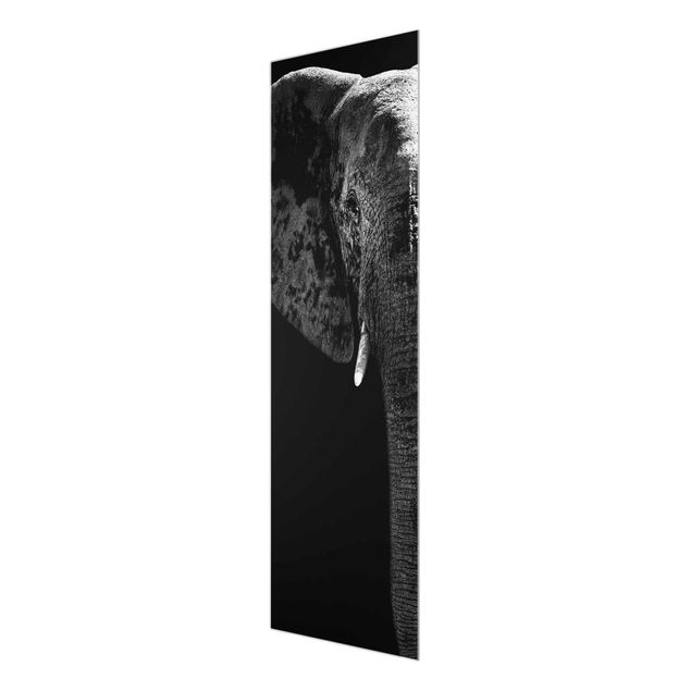 Quadri stampe Elefante africano in bianco e nero