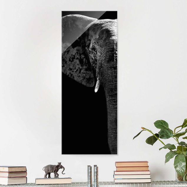 Quadro con elefante Elefante africano in bianco e nero