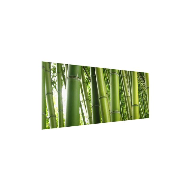 Quadri in vetro con fiori Alberi di bambù n.1