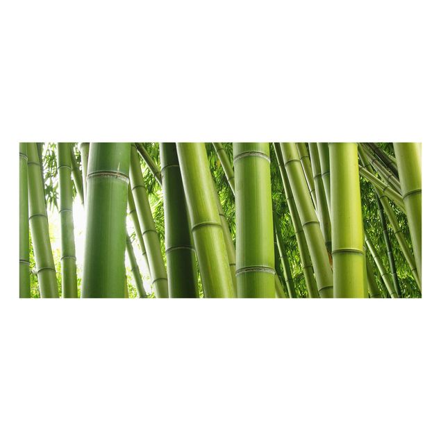 Quadro moderno Alberi di bambù n.1