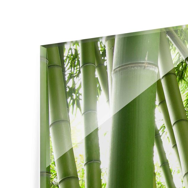 Magnettafel Glas Alberi di bambù n.1