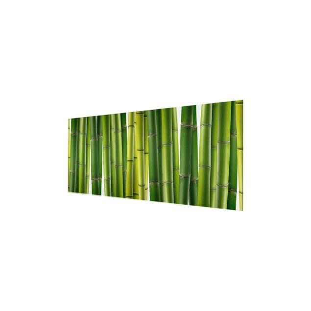 Quadri in vetro con fiori Piante di bambù