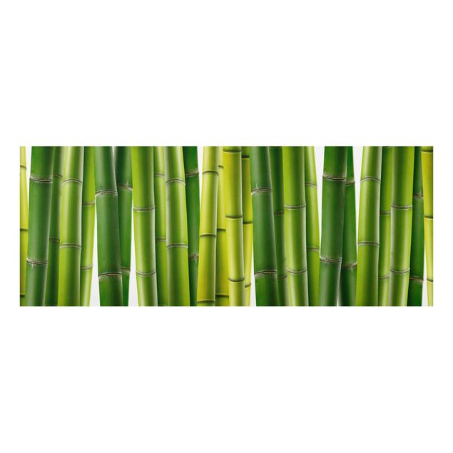 Quadri moderni per arredamento Piante di bambù