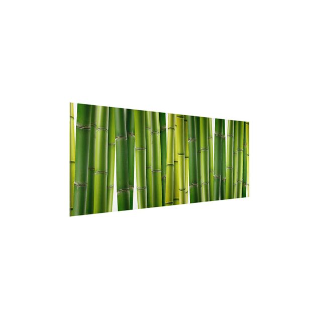 Quadri di fiori Piante di bambù