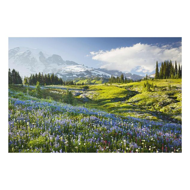 Quadri montagna Prato di montagna con fiori blu davanti al monte Rainier