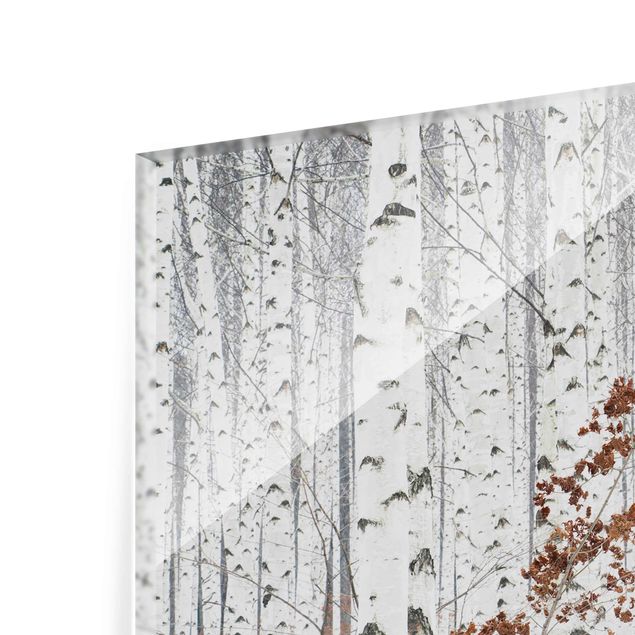 Glas Magnetboard Betulle in autunno