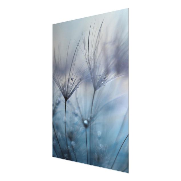Glas Magnetboard Piume blu sotto la pioggia