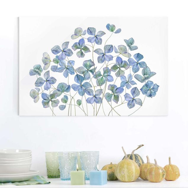 Quadri in vetro con fiori Fiori di ortensia blu