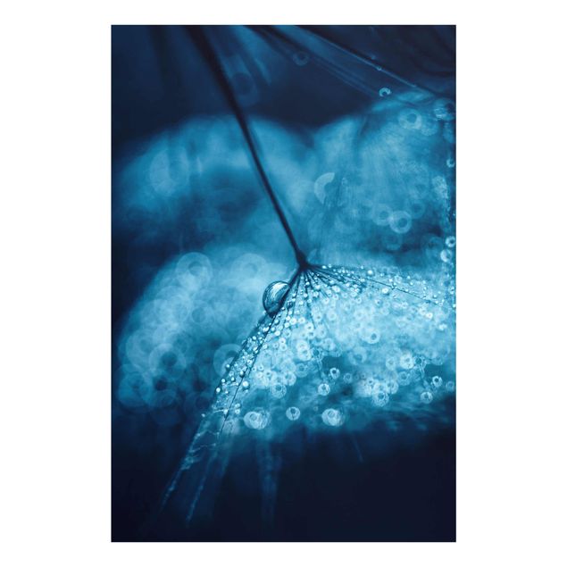 Quadro blu Soffione blu sotto la pioggia