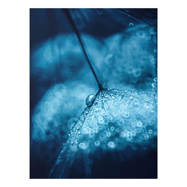 Quadro moderno blu Soffione blu sotto la pioggia