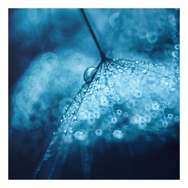 Quadro blu Soffione blu sotto la pioggia