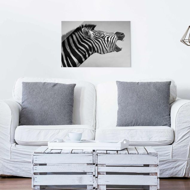 Quadri con zebre Zebra ruggente ll