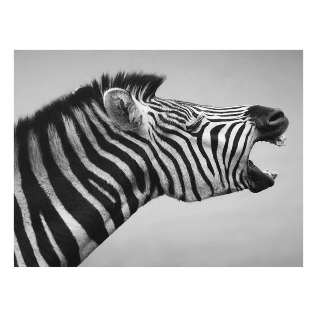 Quadri in vetro con animali Zebra ruggente ll