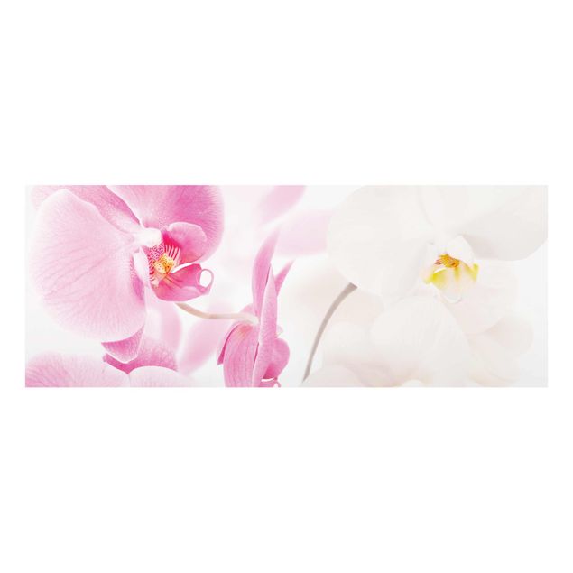 Quadri moderni per arredamento Orchidee delicate