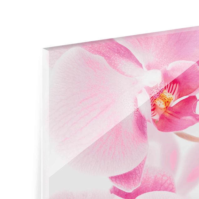 Glas Magnetboard Orchidee delicate
