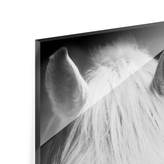 Quadro in vetro - Dream of a Horse - Pannello
