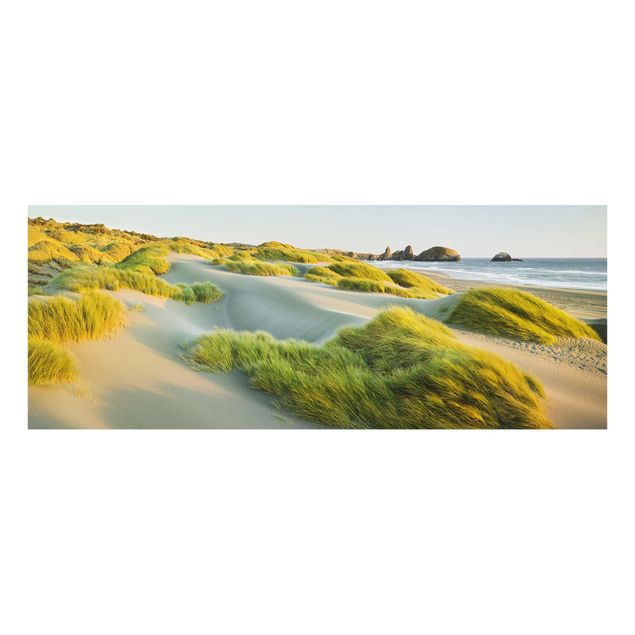 Quadri spiaggia Dune ed erbe sul mare
